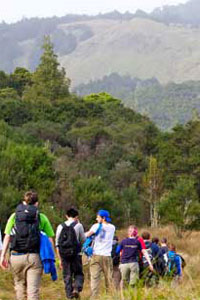 Copyright: Native Nature Tours. Hike through unspoiled areas of New Zealand