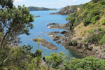 Bay of Islands View
