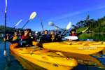 Image of Akaroa Guided Sea Kayaking Safari