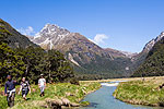 GUIDED NATURE WALKS - Queenstown