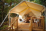 Image of CANOPY CAMPING ESCAPES - Highfield Forest Retreat - Northland
