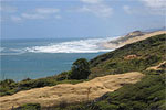 The Kauri Coast - Off the beaten track