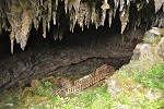 Image of RAWHITI CAVE TRACK - Nelson