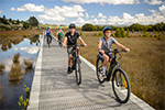 TOP TRAIL CYCLE TOURS - Northland
