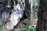Waipu Caves - Off the beaten track