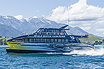 Image of WHALE WATCH - Kaikoura